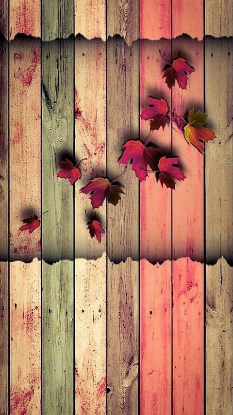 wood wall and leaf