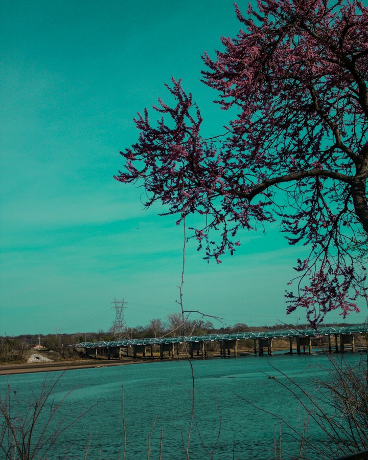 Minty sky's