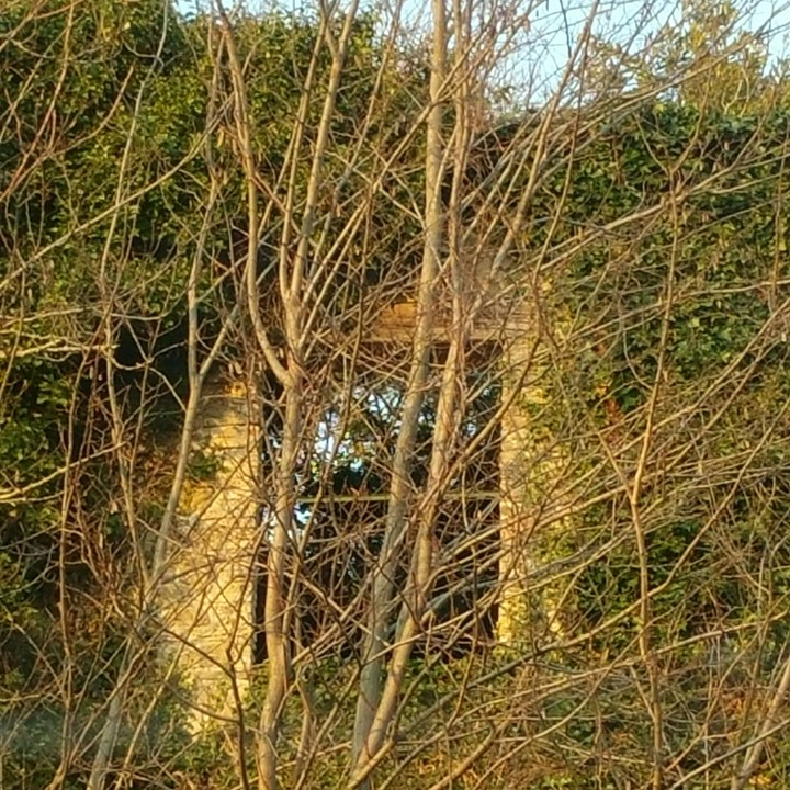 window