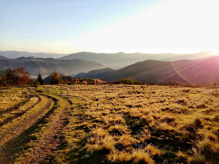 Carpatian mountains