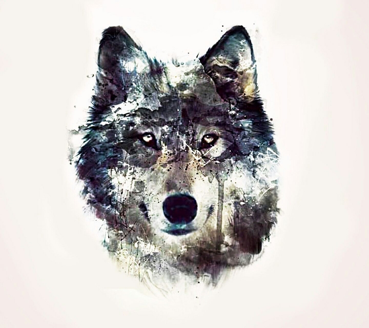 wolf