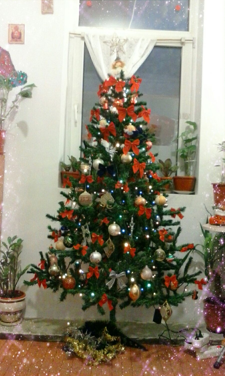 ~ Christmas Tree ~