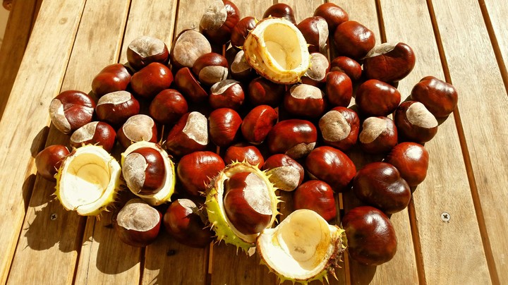chestnuts on the table