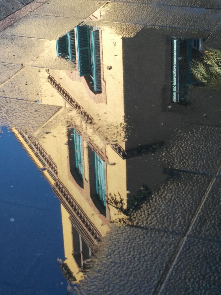 reflection in the water