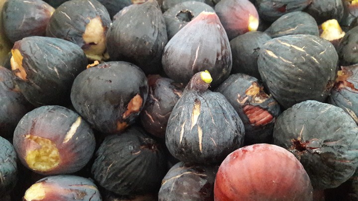 figues