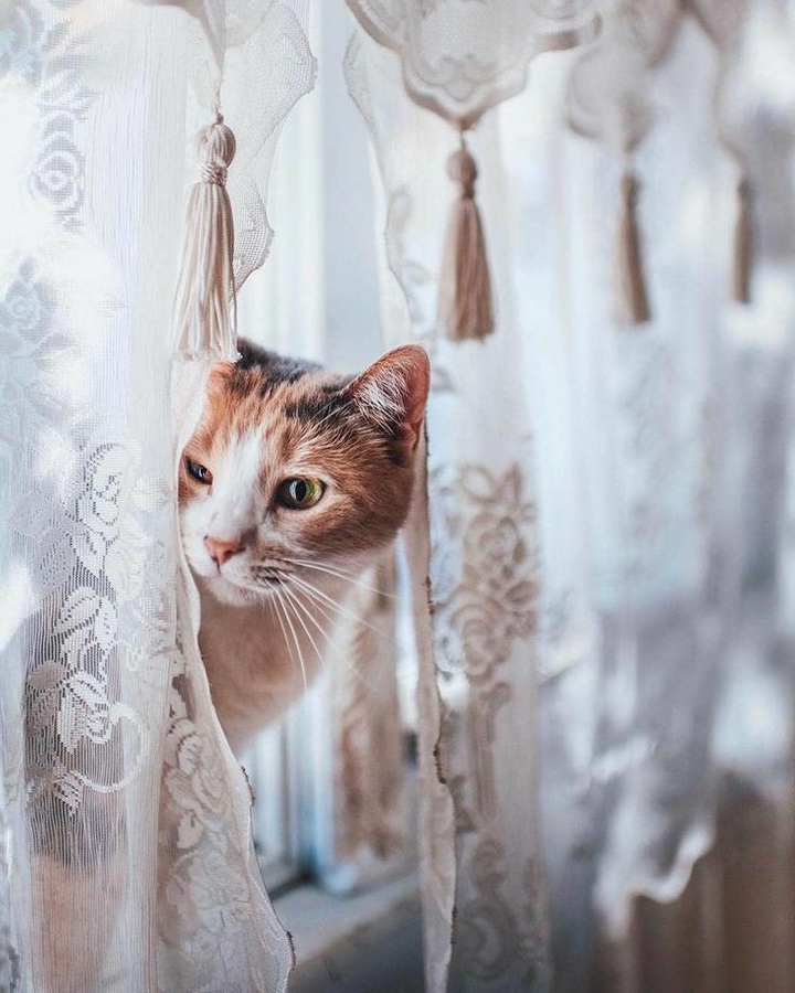 peek~a~booo❣