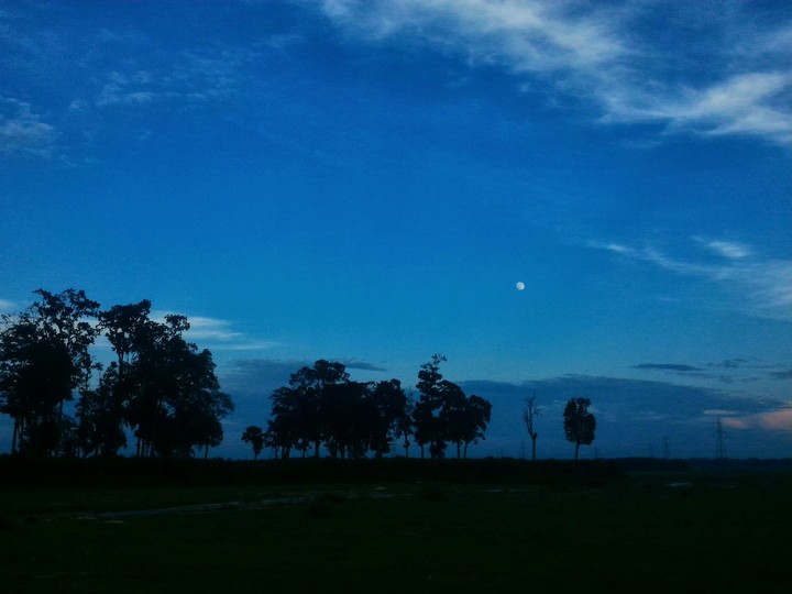 Evening beauty
