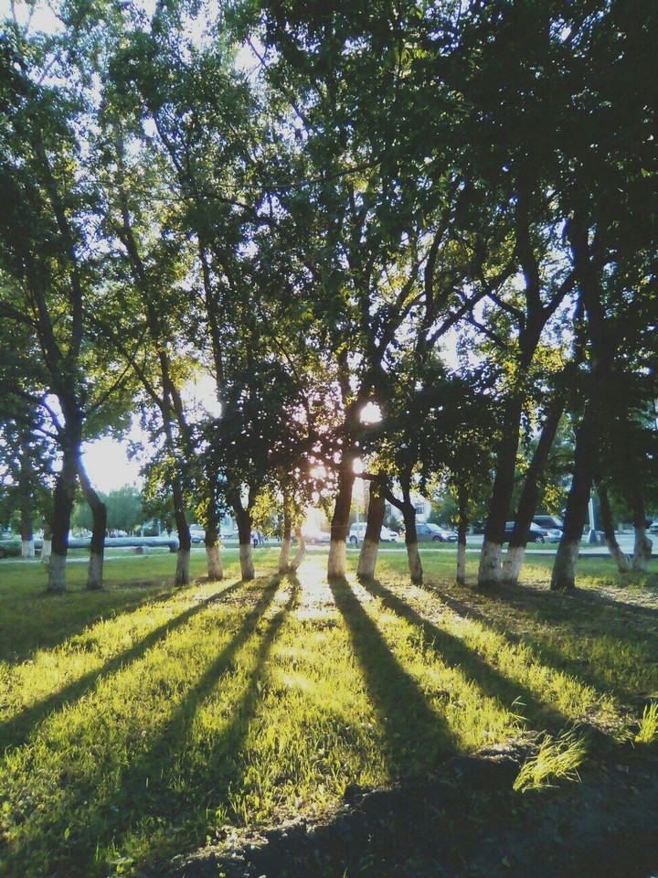 summer