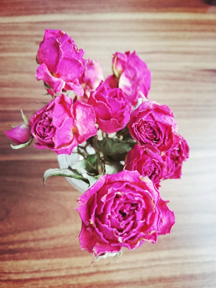 Roses
