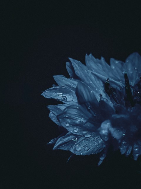 тапети liquid, moisture