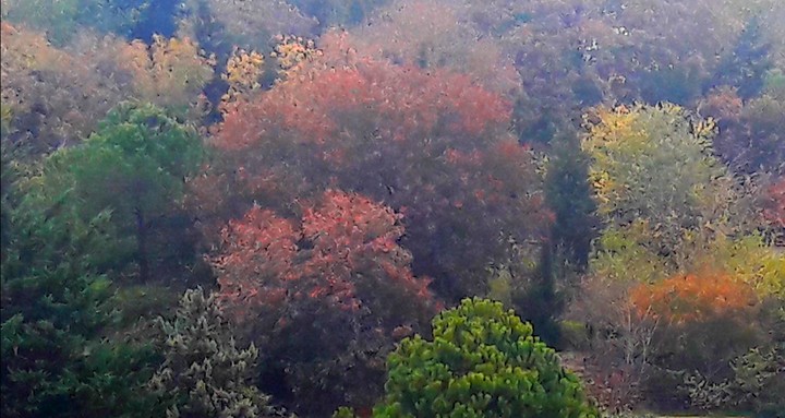 autumn