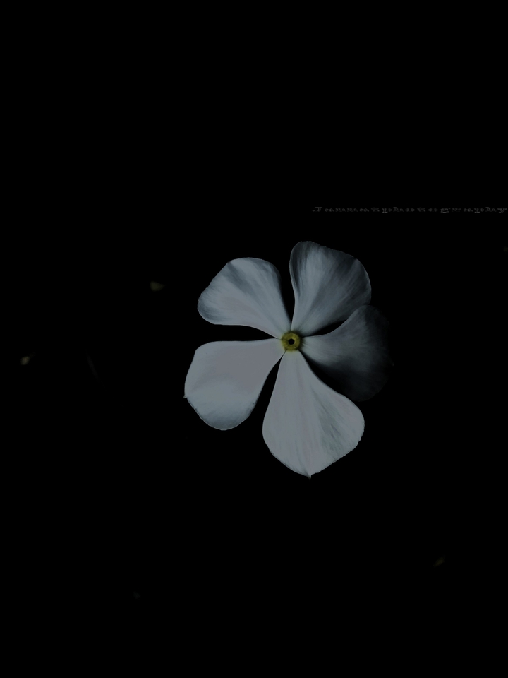 Dark