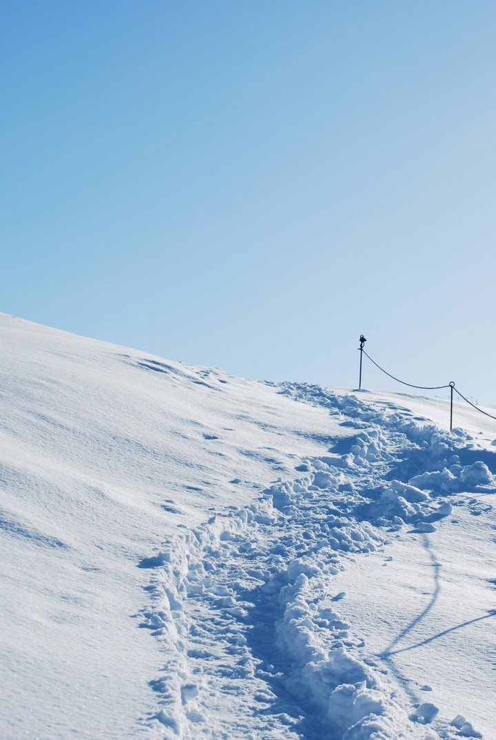 blue, winter Hintergrundbilder