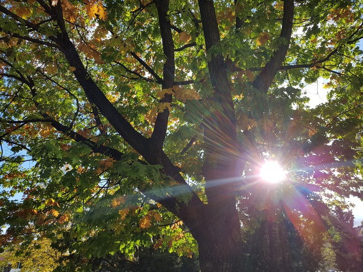 #autumn