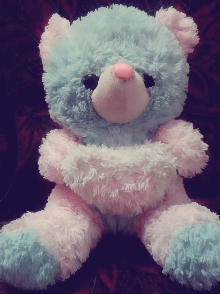 teddy bear