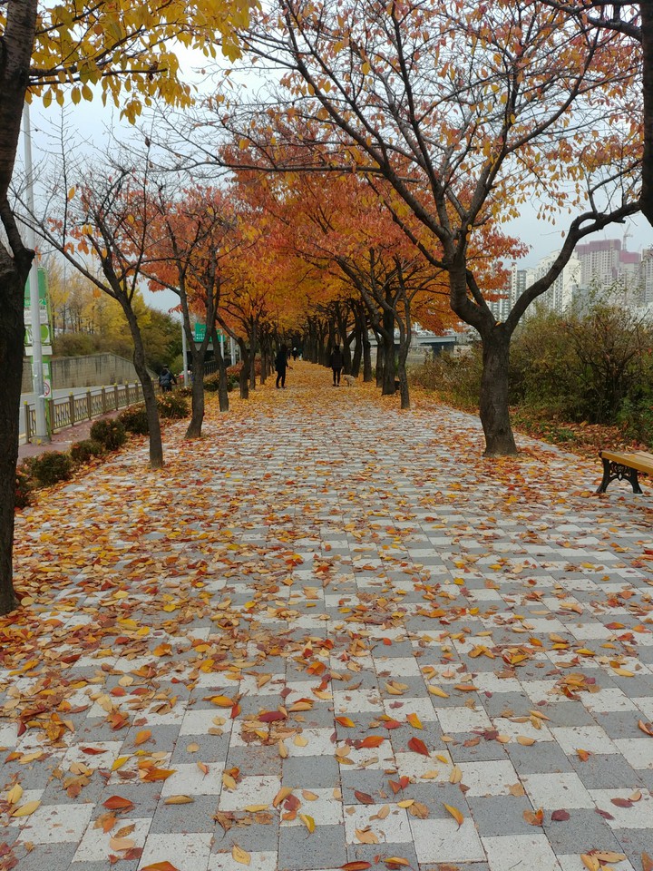 fall