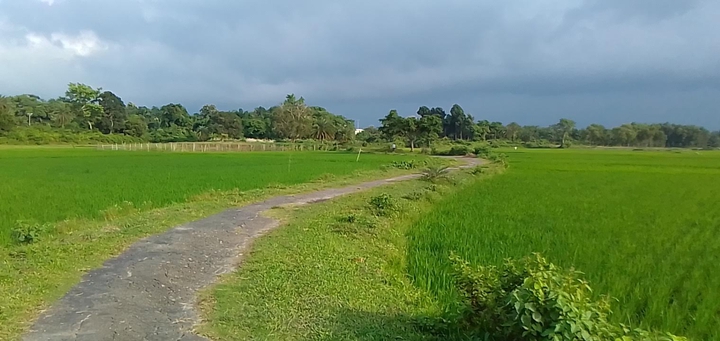 Bangladesh to India