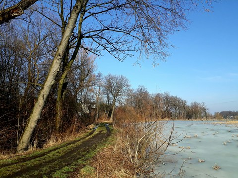 end of winter
