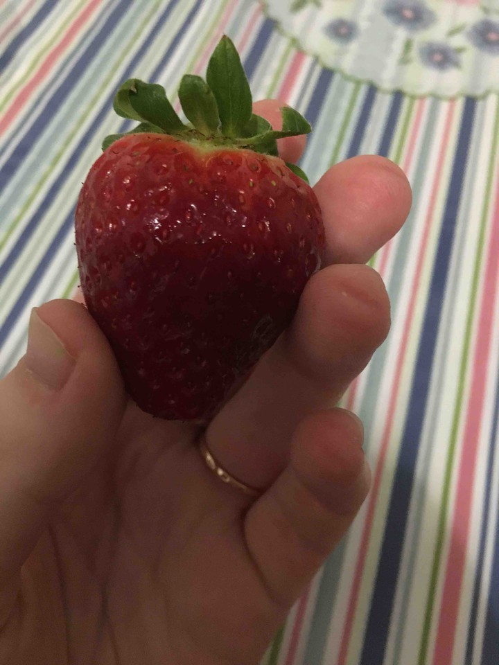 strawberry