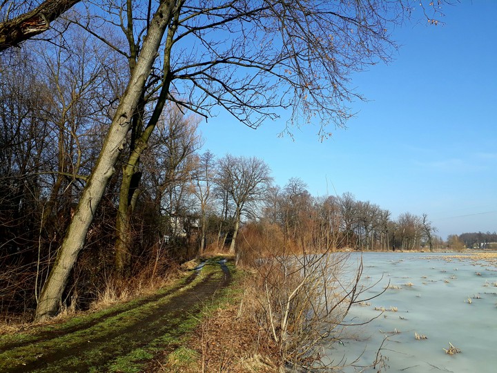 end of winter