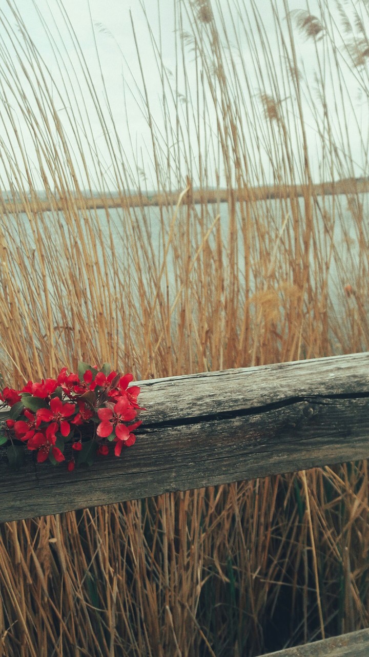 spring sadness