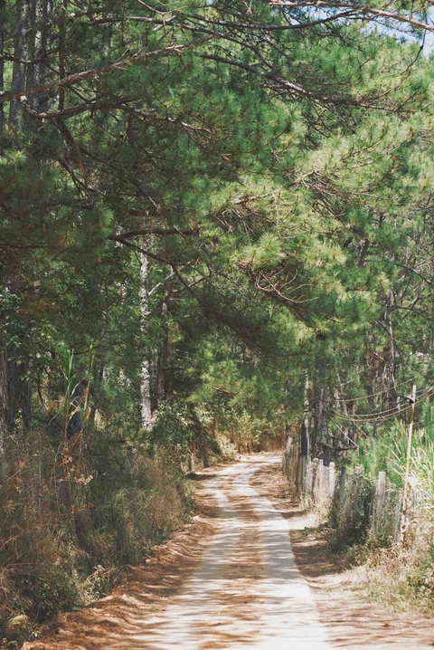 Unknown road
