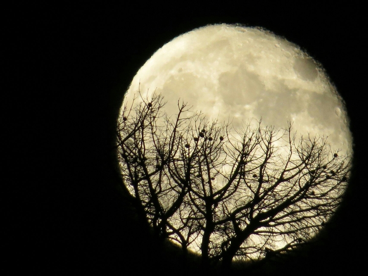 moon