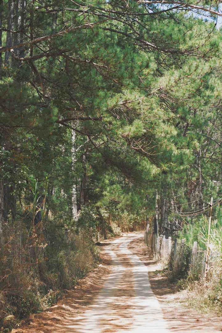 Unknown road