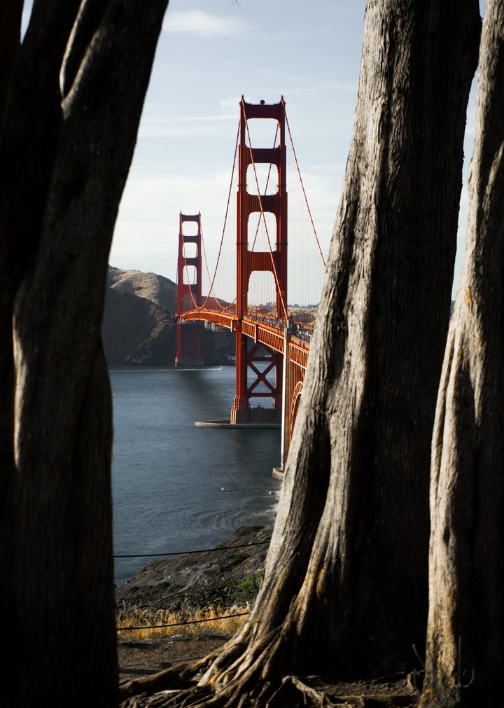 bridge