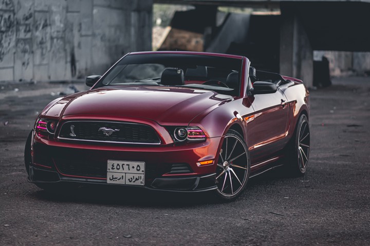 mustang