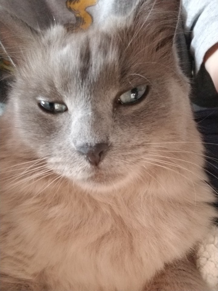 Stinky