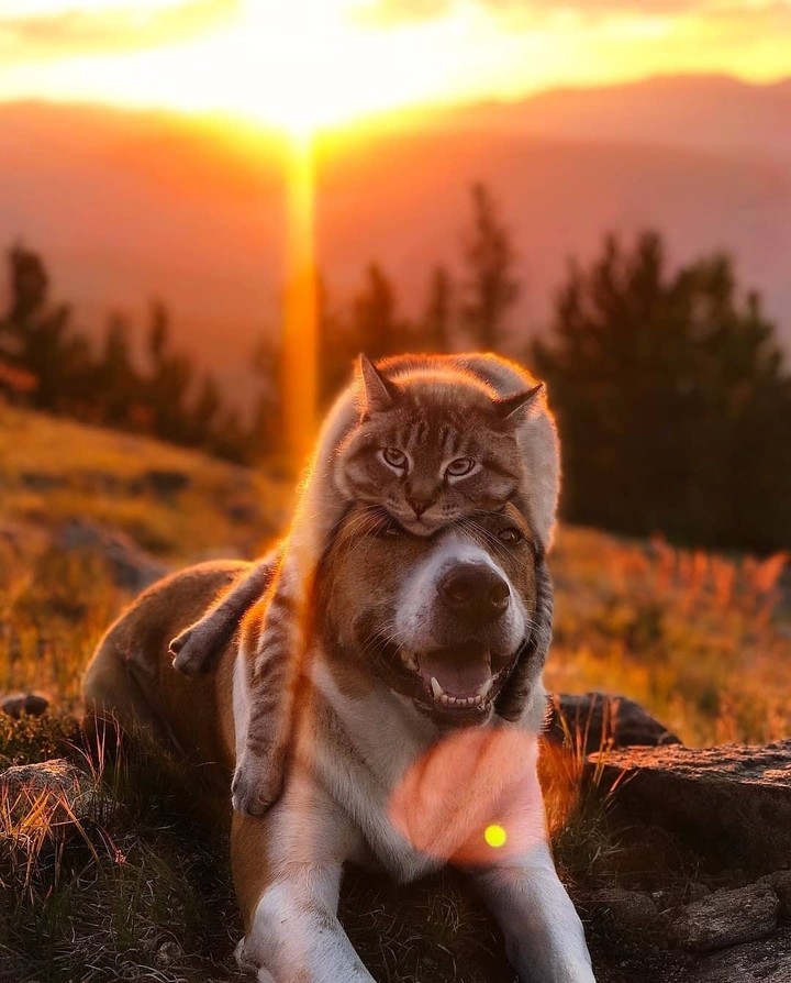 ❤️