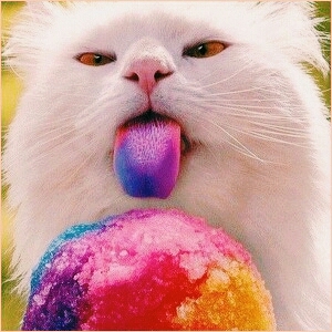 #CAT