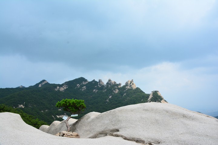 풍경이미지