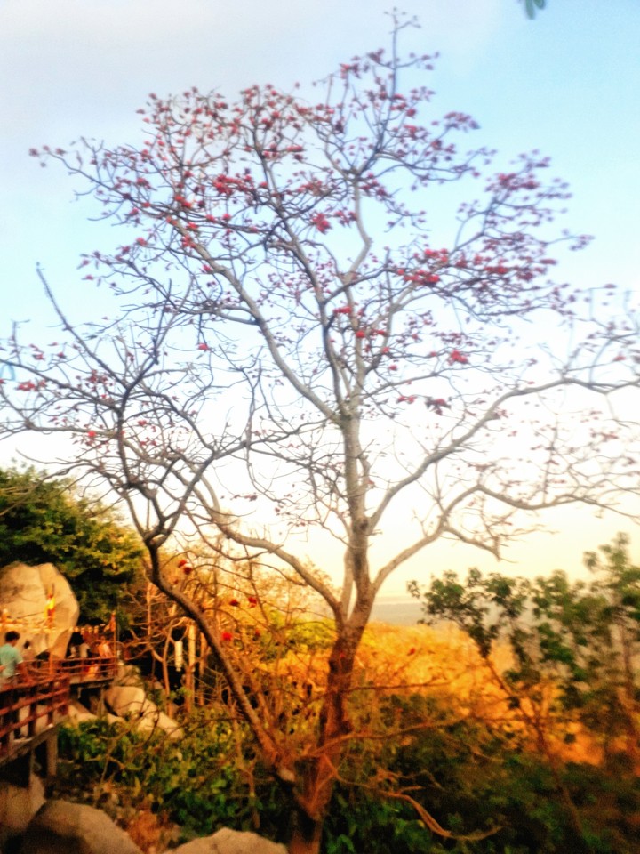 BA mountain