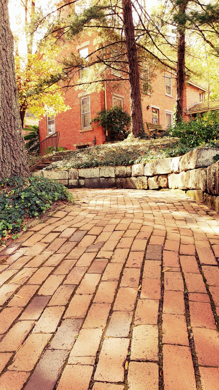 Follow the brick road