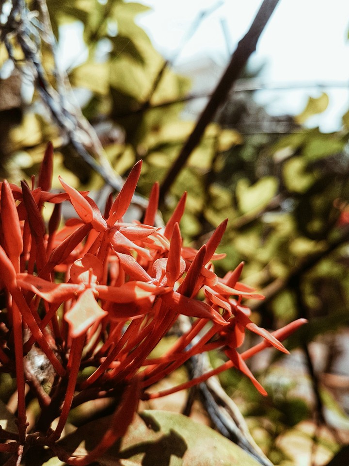 Nature shows us wonders