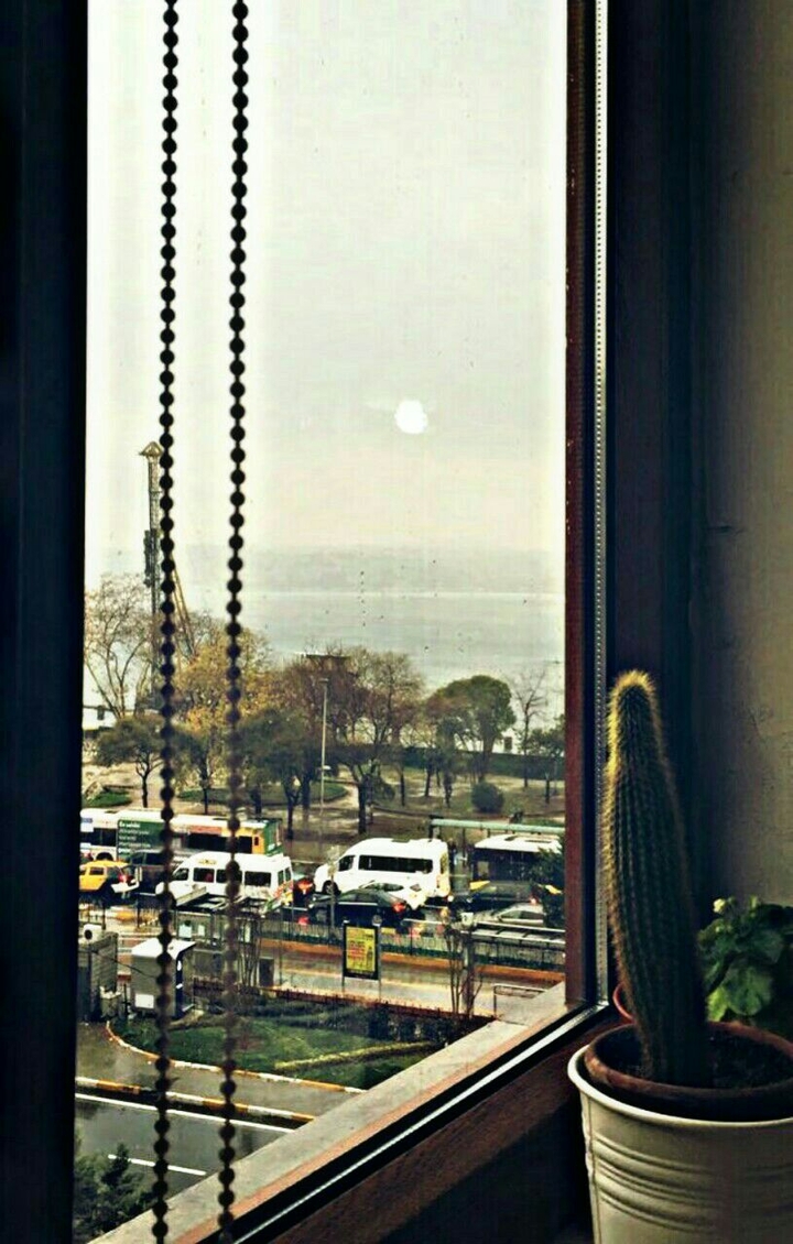 A view from the window