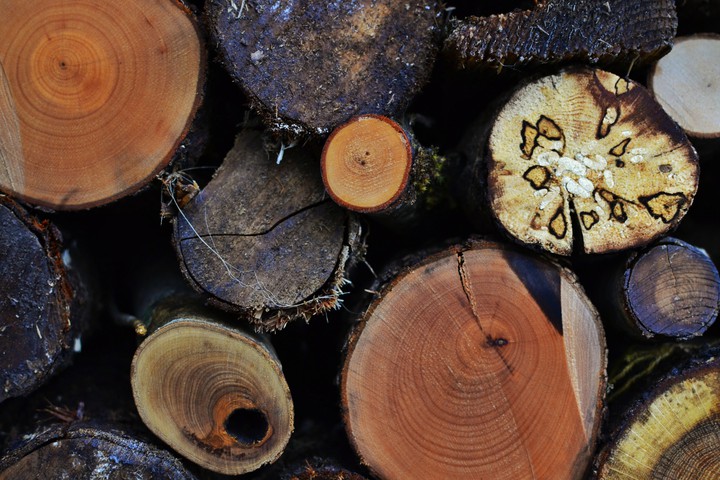 Macro wood