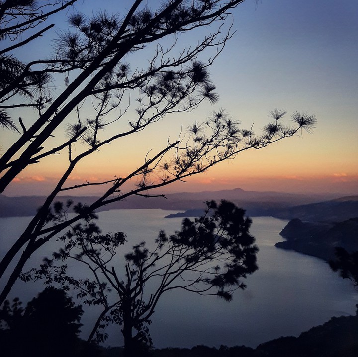 nature