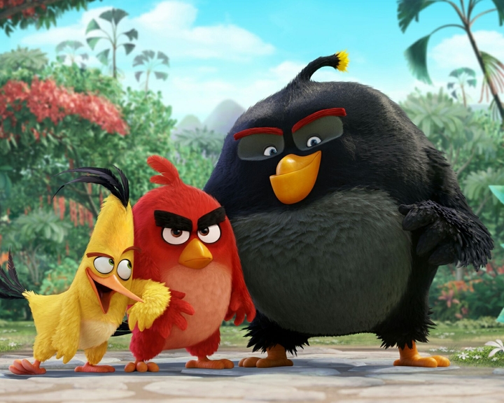 angry birds