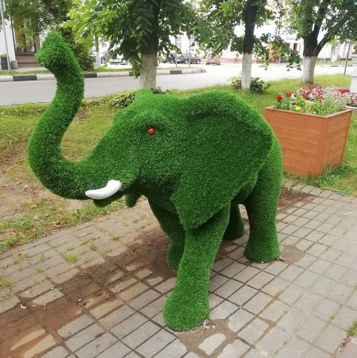 слон