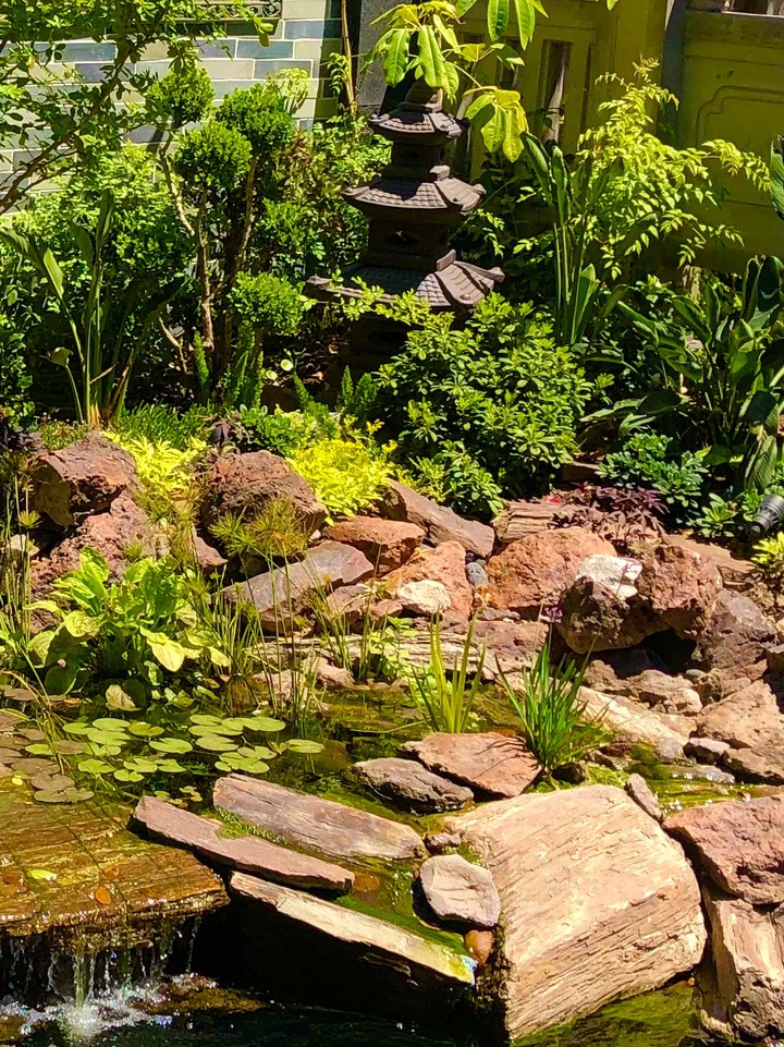 Jardín Chino