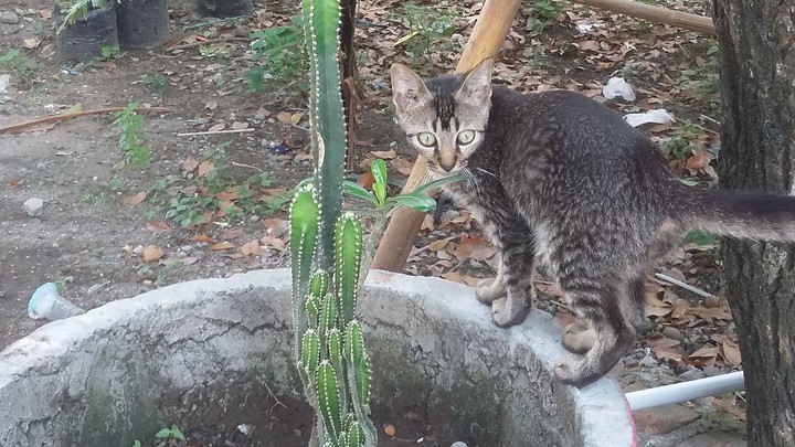 ??