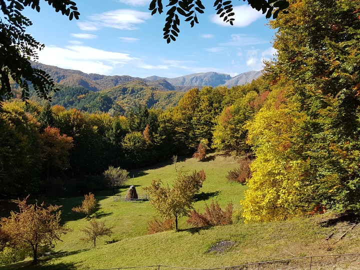 Pure nature
