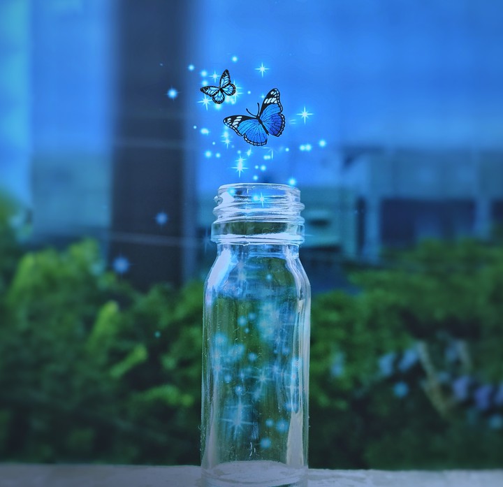 Butterflies