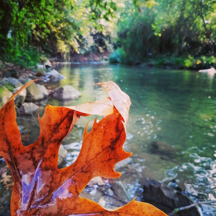 First autumn days... Last summer days
