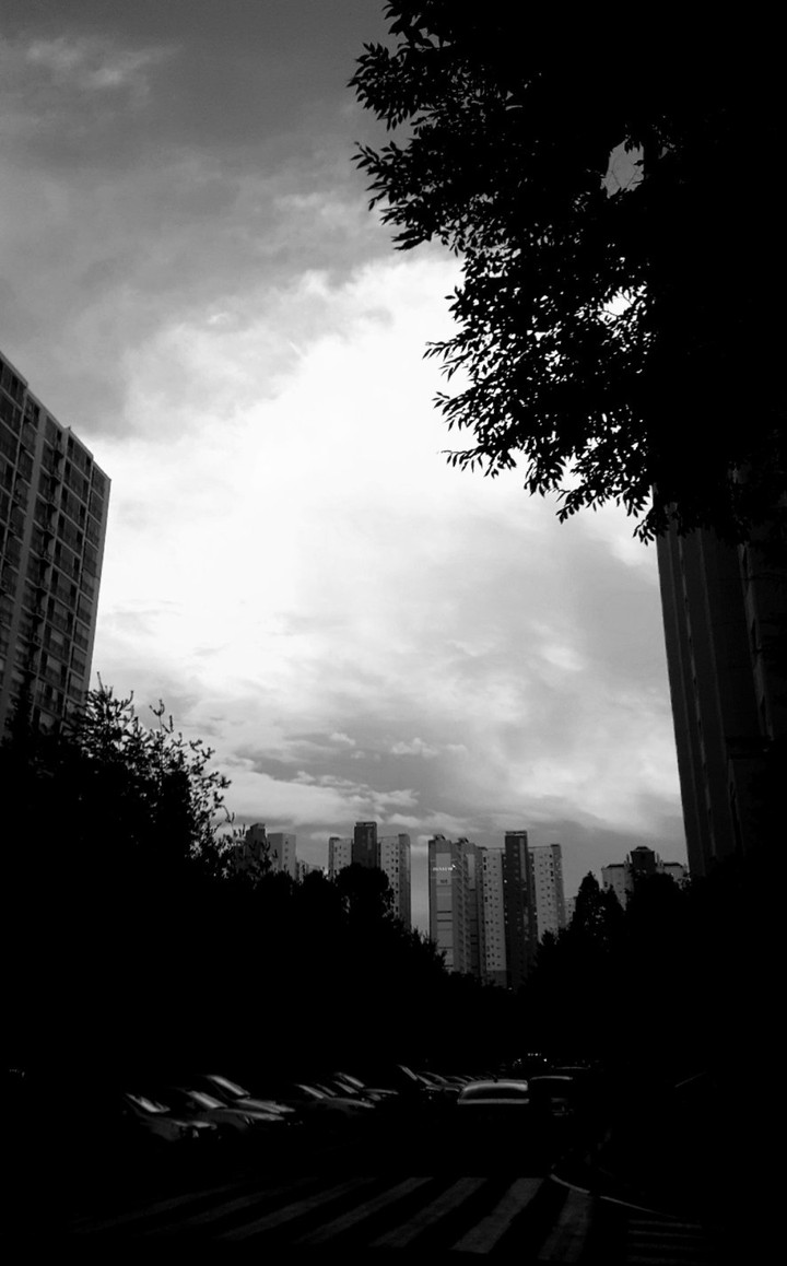 black-and-white photos