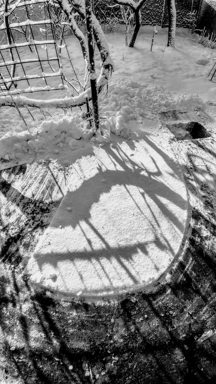 winter