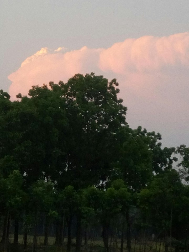 nature